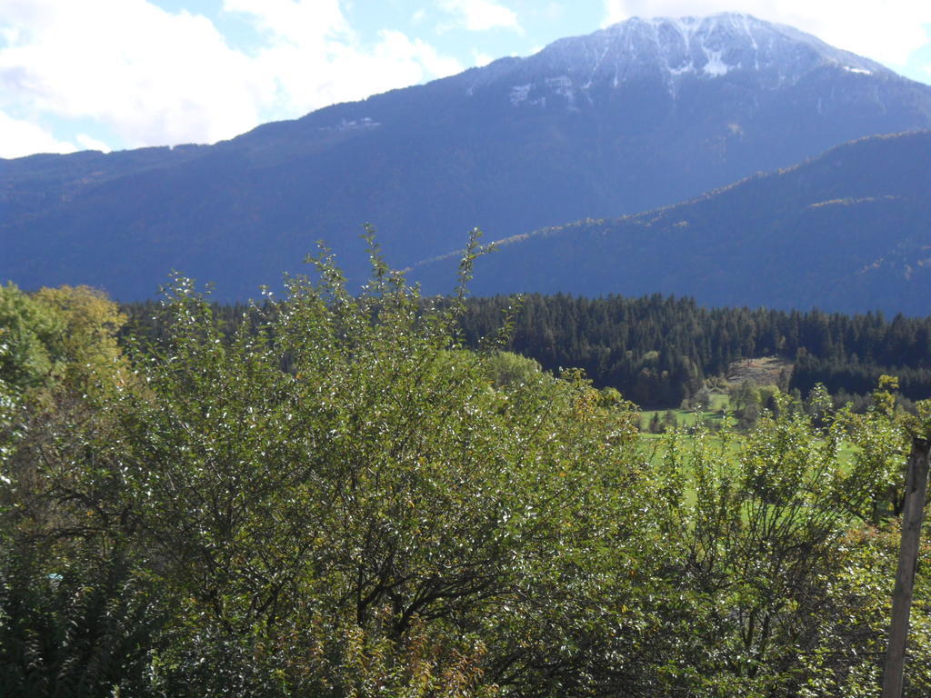 Ferienhaus Warmuth Sankt Stefan an der Gail Luaran gambar