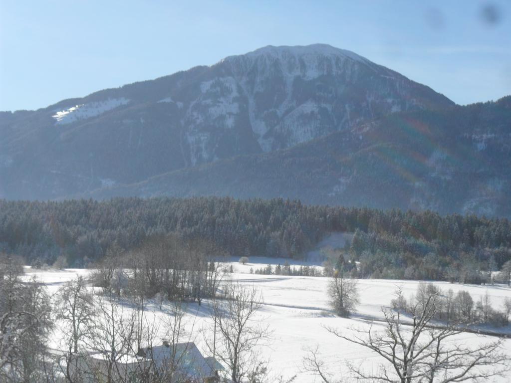 Ferienhaus Warmuth Sankt Stefan an der Gail Luaran gambar